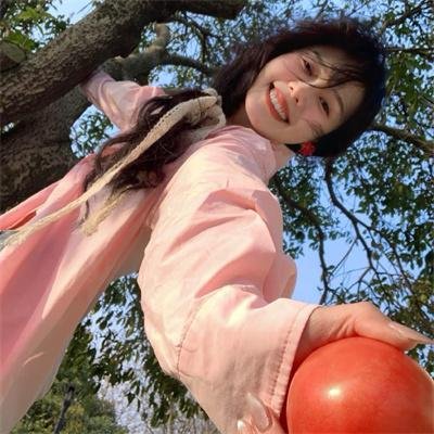 极秘搜查